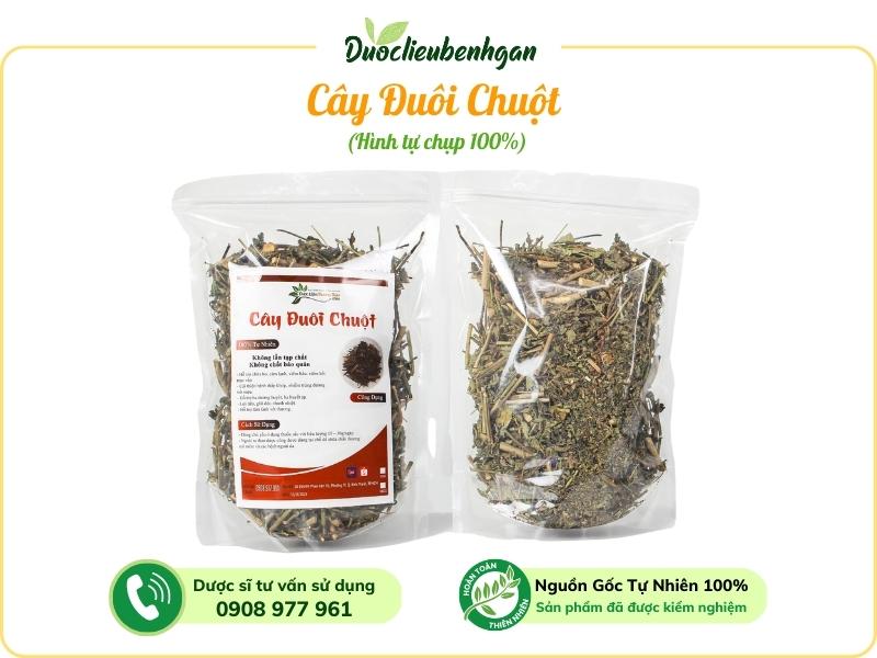 Cây Đuôi Chuột có tác dụng gì trong việc tăng cường sức khỏe