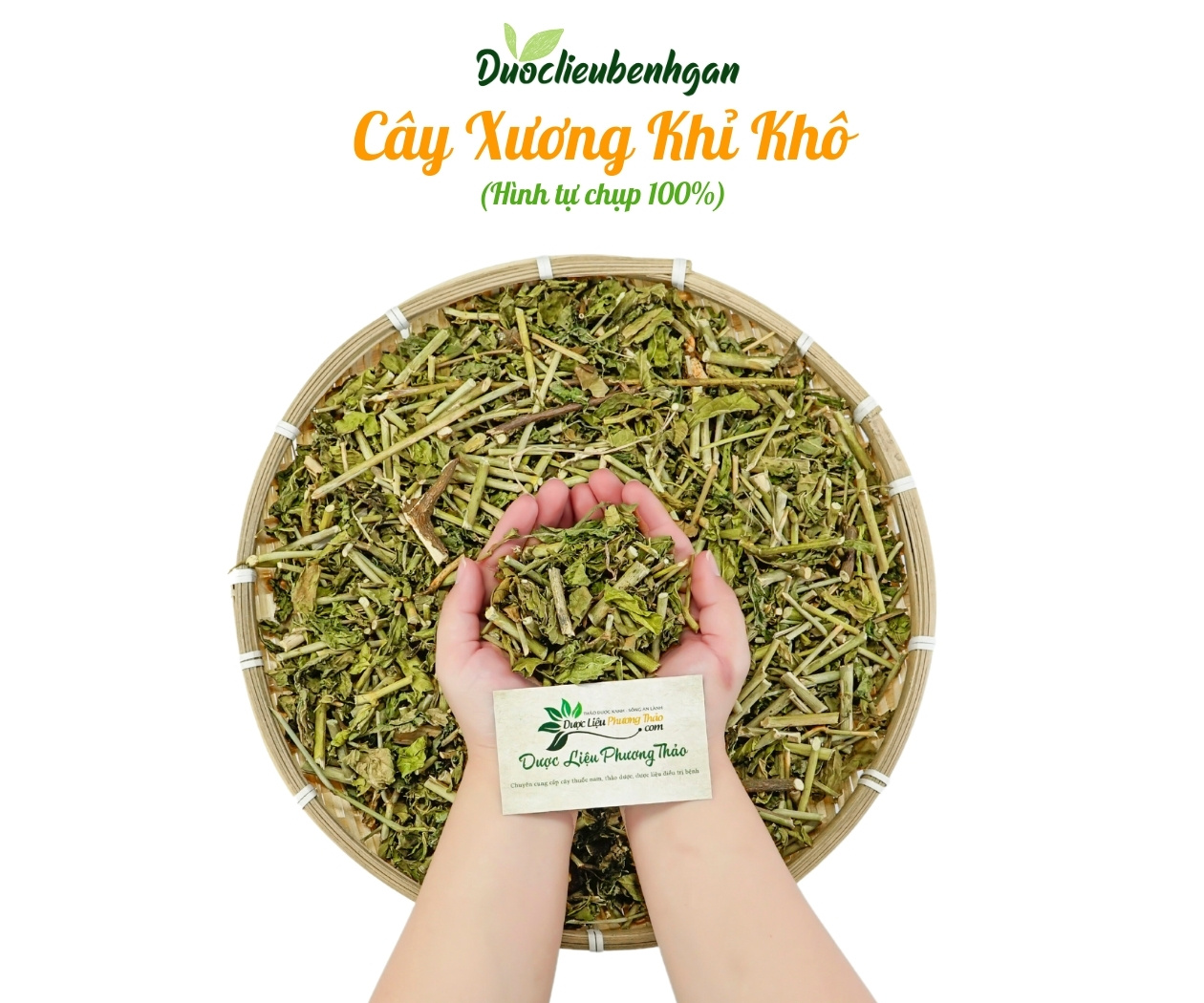 cay-xuong-khi-6 Cây xương khỉ khô