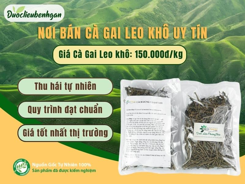Giá Cà Gai Leo khô bao nhiêu?