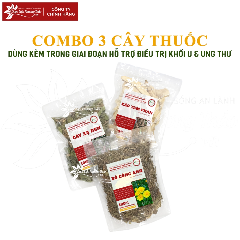 Bột Tam Thất Bắc