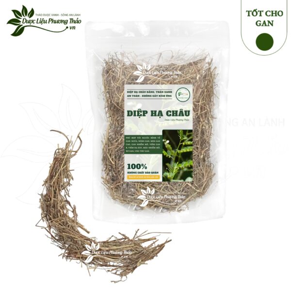 Diệp Hạ Châu