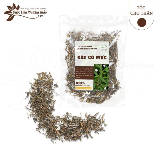 Cây Cỏ Mực